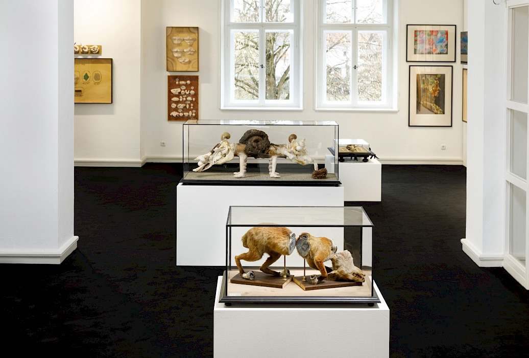 Jan Švankmajer: Unnatürliche Geschichten. Ausstellungsansicht Kebbel Villa 2023, Foto: Clemens Mayer