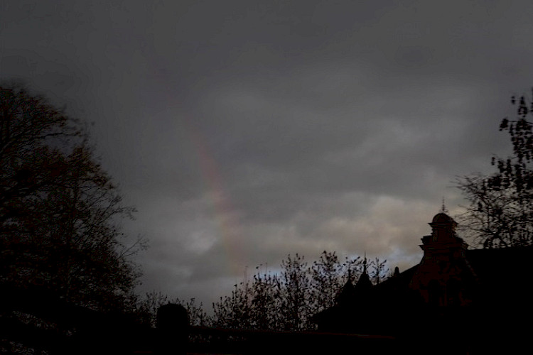 Michael Franz: New Sad (2023). Courtesy the artist