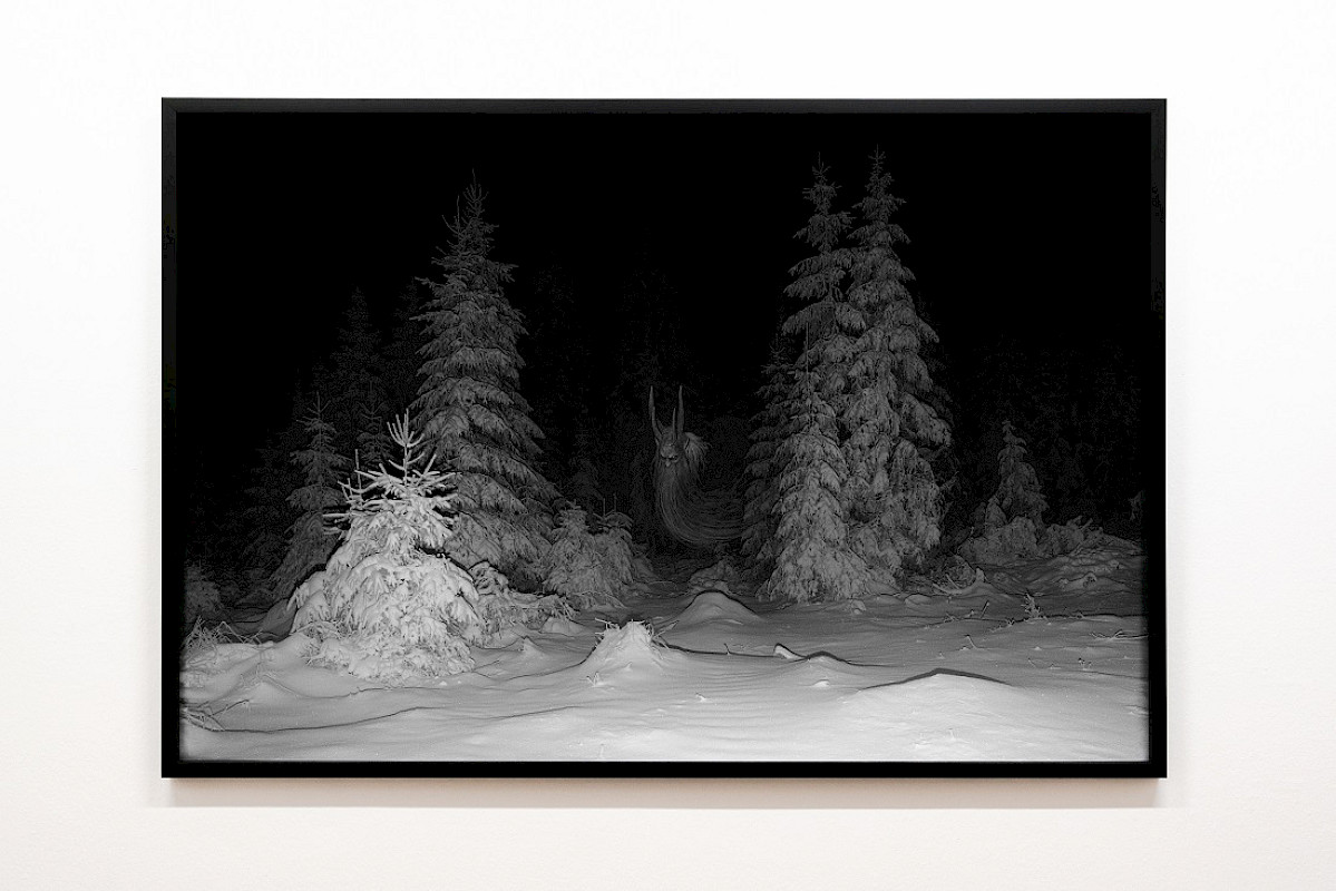 Elena Helfrecht: Erscheinung (apparition), 2022, from the series Unternächte (twelfth night)