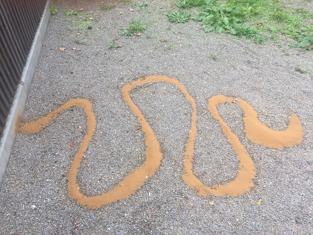 Roman Schöne, Sandspirale, LandArt Installation, 2020, 4 x 4 m