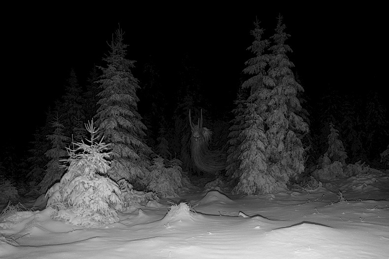 Elena Helfrecht: Apparition, 2022. Pigment print on Hahnemühle Baryta, 150 x 100 cm. Photo: Oberpfälzer Künstlerhaus