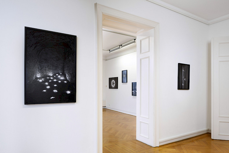 Elena Helfrecht: PLEXUS. Exhibition view Kebbel Villa 2024. Photo: Clemens Mayer