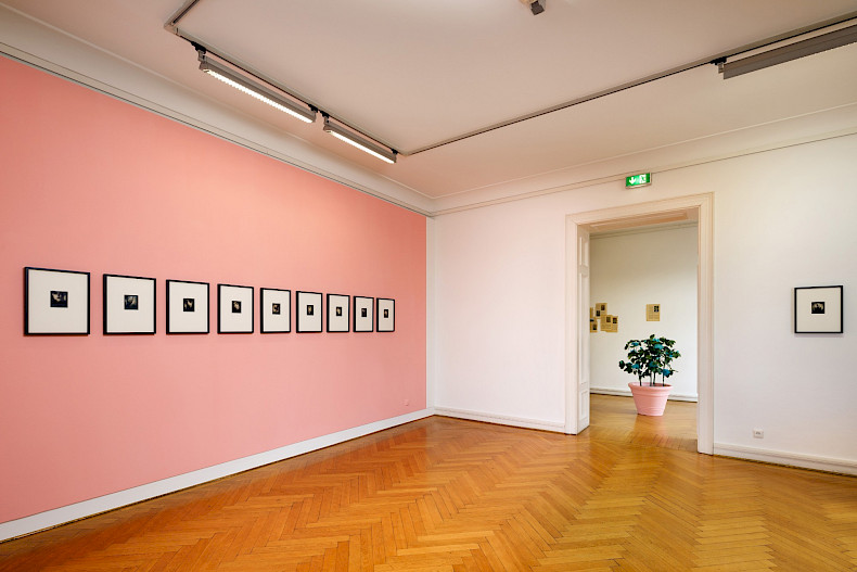 Antonia Gruber: GOOD WIFE. Exhibition view Kebbel Villa 2024. Photo: Clemens Mayer