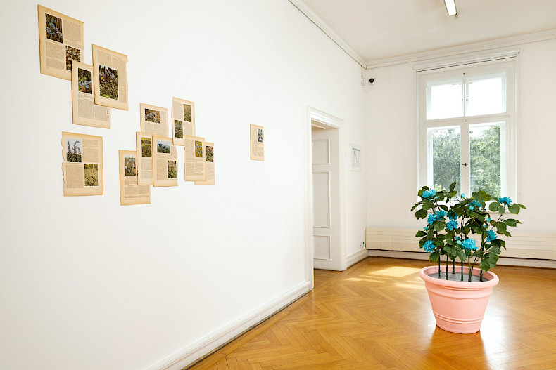 Antonia Gruber: GOOD WIFE. Exhibition view Kebbel Villa 2024. Photo: Clemens Mayer
